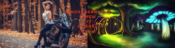 гашиш Белокуриха
