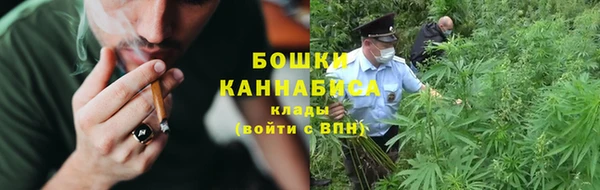 сатива Белоозёрский