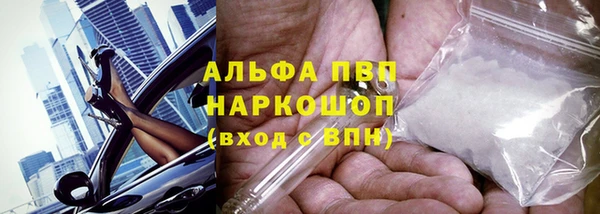 сатива Белоозёрский