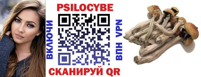 Галлюциногенные грибы мухоморы  гидра ССЫЛКА  Светлогорск 